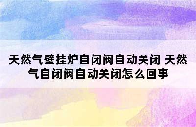 天然气壁挂炉自闭阀自动关闭 天然气自闭阀自动关闭怎么回事